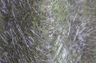 Cawdor fibreglass roof work